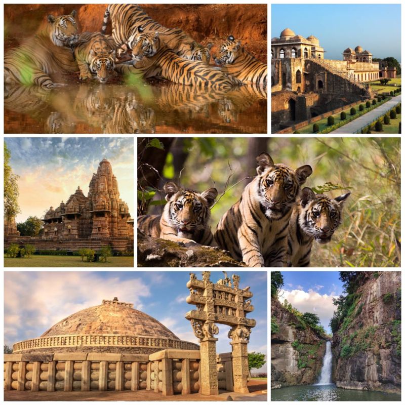 Madhya Pradesh Wildlife & Heritage (6 Days)